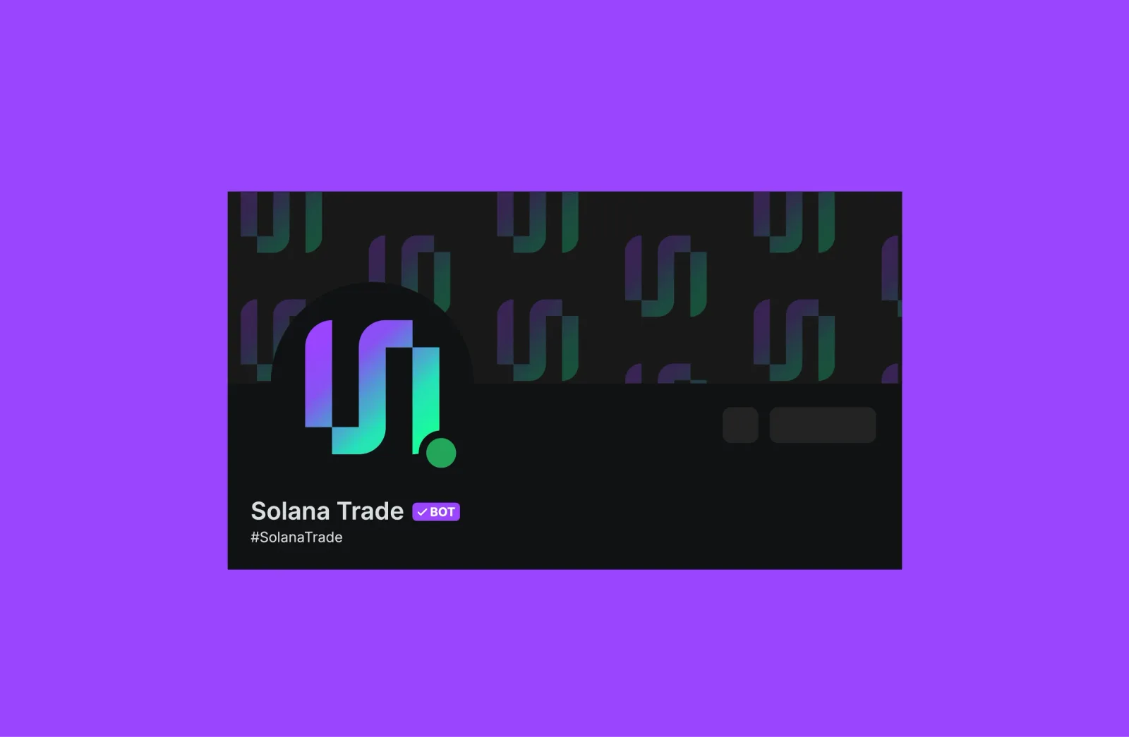 Solana discord bot profile card mockup